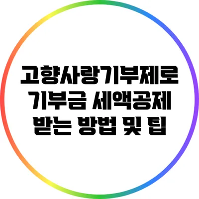 고향사랑기부제로 기부금 세액공제 받는 방법 및 팁