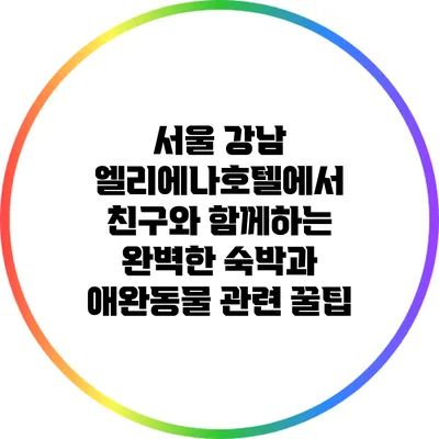 서울 강남 엘리에나호텔에서 친구와 함께하는 완벽한 숙박과 애완동물 관련 꿀팁