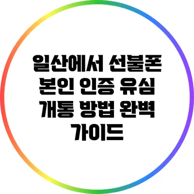 일산에서 선불폰 본인 인증 유심 개통 방법 완벽 가이드
