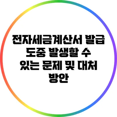 전자세금계산서 발급 도중 발생할 수 있는 문제 및 대처 방안