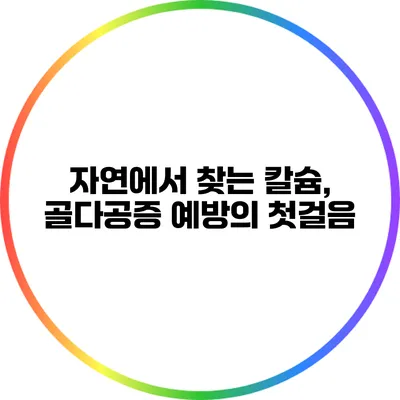 자연에서 찾는 칼슘, 골다공증 예방의 첫걸음