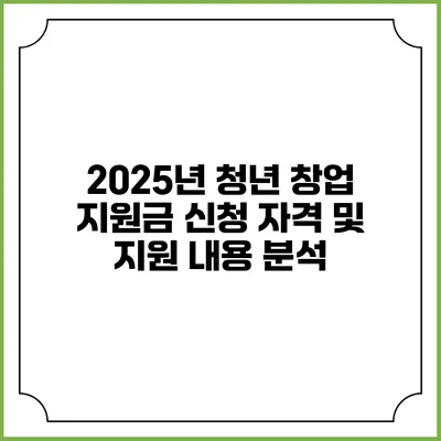 2025년 청년 창업 지원금 신청 자격 및 지원 내용 분석