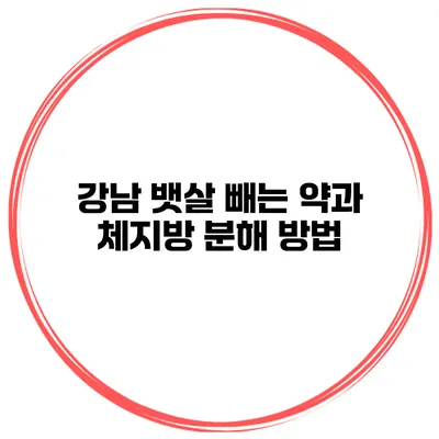 강남 뱃살 빼는 약과 체지방 분해 방법