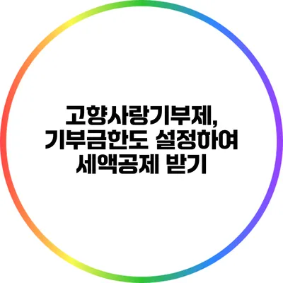 고향사랑기부제, 기부금한도 설정하여 세액공제 받기