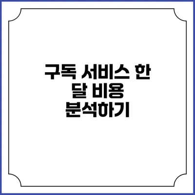 구독 서비스 한 달 비용 분석하기