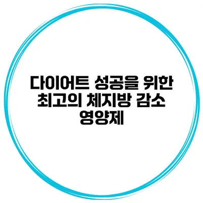다이어트 성공을 위한 최고의 체지방 감소 영양제
