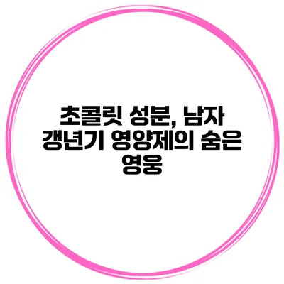 초콜릿 성분, 남자 갱년기 영양제의 숨은 영웅