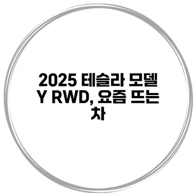 2025 테슬라 모델 Y RWD, 요즘 뜨는 차