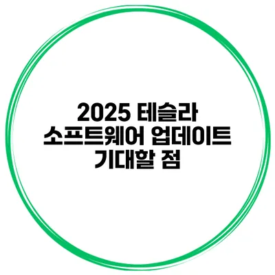 2025 테슬라 소프트웨어 업데이트 기대할 점