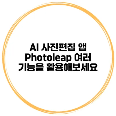 AI 사진편집 앱 Photoleap 여러 기능을 활용해보세요