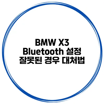 BMW X3 Bluetooth 설정 잘못된 경우 대처법