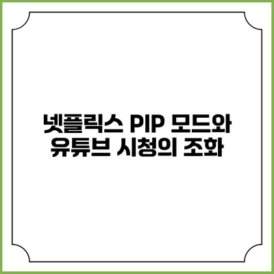 넷플릭스 PIP 모드와 유튜브 시청의 조화