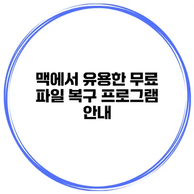 맥에서 유용한 무료 파일 복구 프로그램 안내