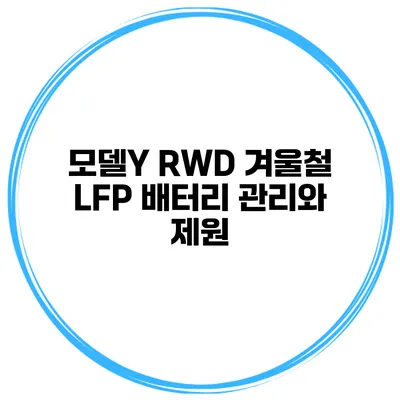 모델Y RWD 겨울철 LFP 배터리 관리와 제원