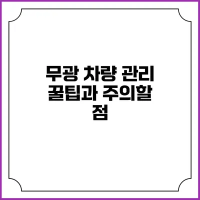 무광 차량 관리 꿀팁과 주의할 점