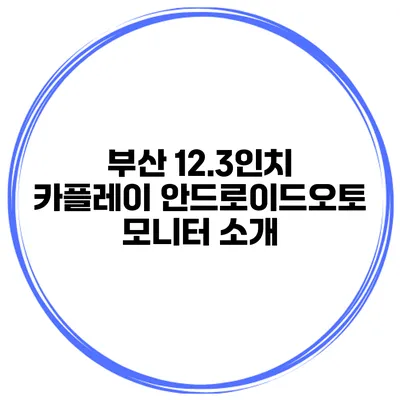 부산 12.3인치 카플레이 안드로이드오토 모니터 소개