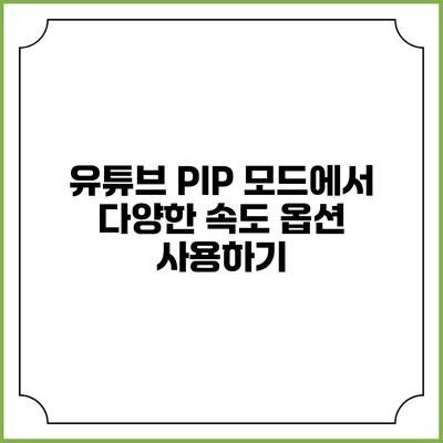 유튜브 PIP 모드에서 다양한 속도 옵션 사용하기