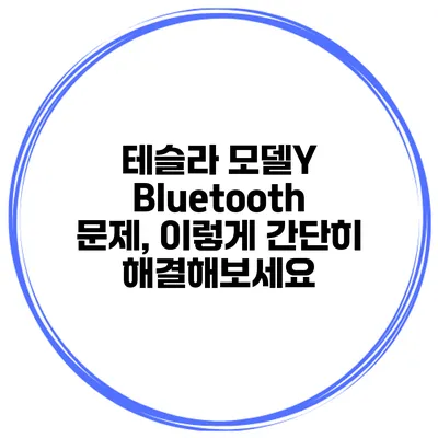 테슬라 모델Y Bluetooth 문제, 이렇게 간단히 해결해보세요