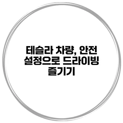 테슬라 차량, 안전 설정으로 드라이빙 즐기기